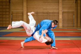 Learn Karate – Free Online Karate Classes | Online Karate lessons